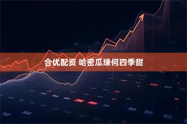 合优配资 哈密瓜缘何四季甜