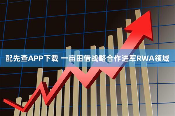 配先查APP下载 一亩田借战略合作进军RWA领域
