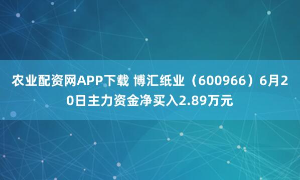农业配资网APP下载 博汇纸业（600966）6月20日主力资金净买入2.89万元